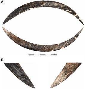 Boomerang and bones: Refining the chronology of the Early Upper Paleolithic at Obłazowa Cave, Poland