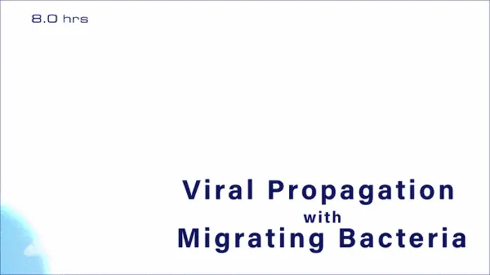 Viral propagation with migrating bacteria