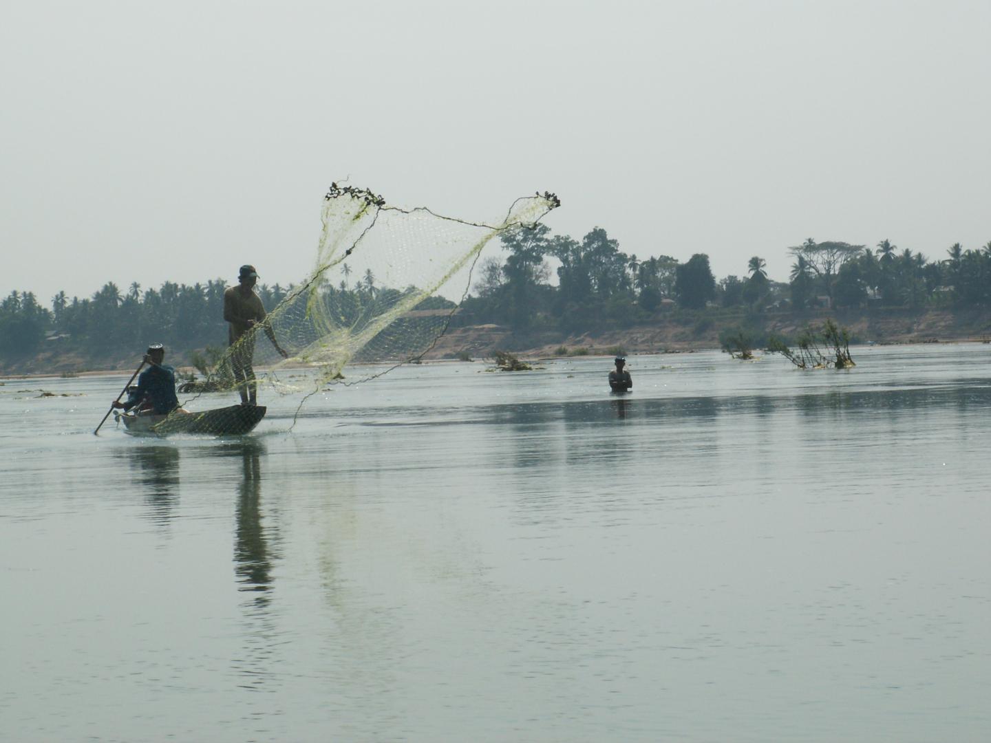 Throwing Net