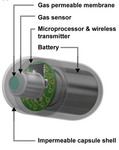 Swallowable Gas Capsule