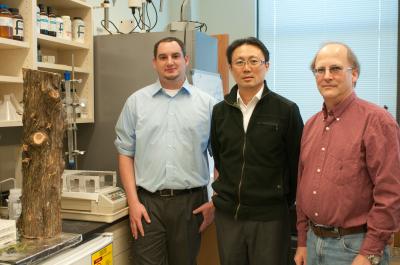 MU Research Team