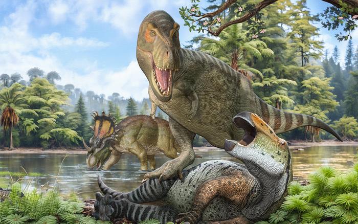 Evolution after the Cretaceous Thermal Maximum - cropped version