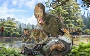 Evolution after the Cretaceous Thermal Maximum - cropped version