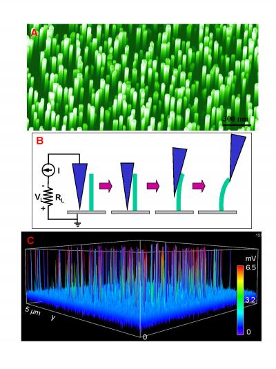 Microscope Image of Nanowires