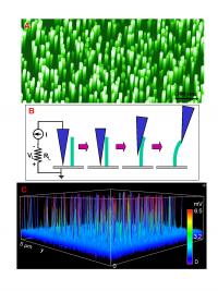 Microscope Image of Nanowires