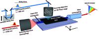 Ultrafast Photomodulation Spectroscopy Concept