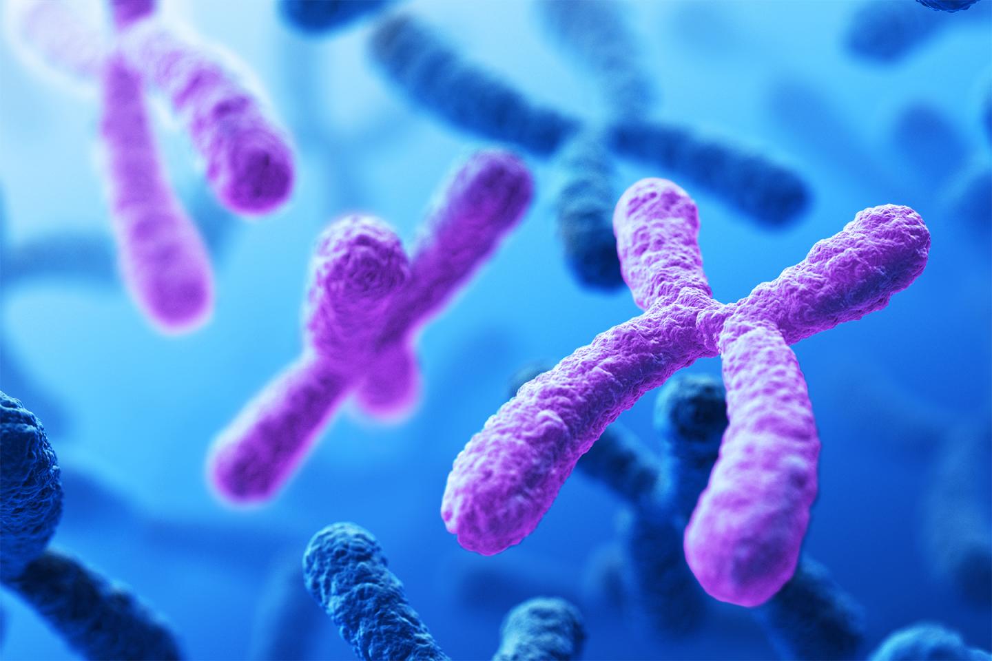 Maternal Plasma DNA Sequencing