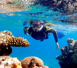 Diver on coral reef