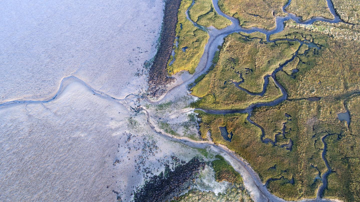Producing Electricity at Estuaries