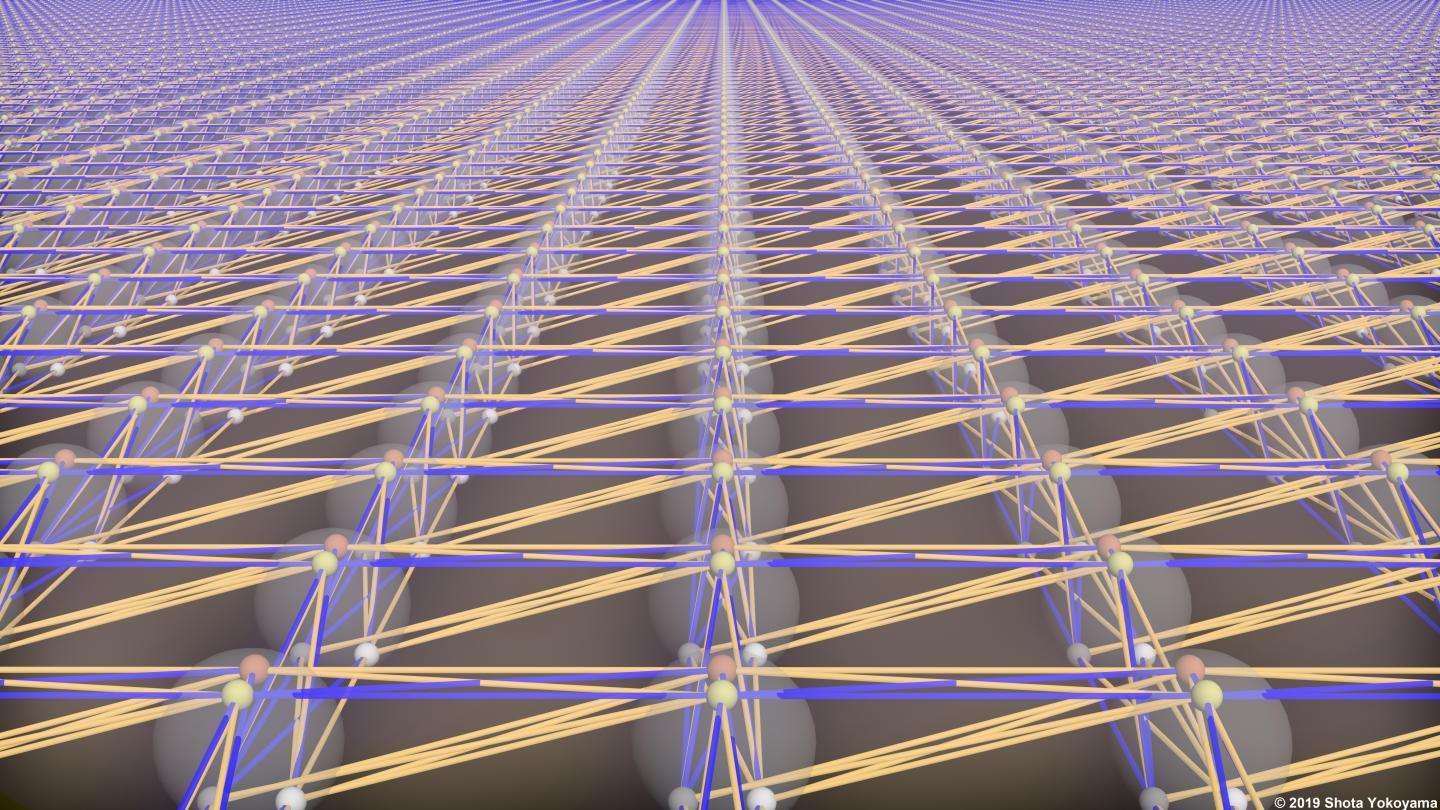 Quantum Processor Made of Light