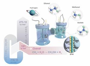 Figure 1 | Schematic diagram of the pH-asymmetric electrolyzer coupling EOM with HER.