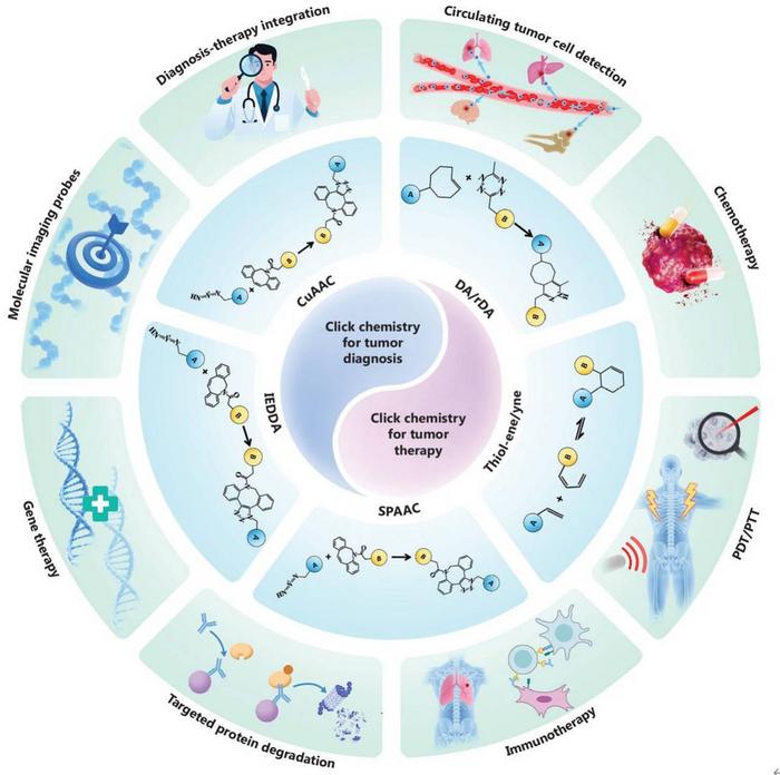 Schematic overview of click chemistry-driven tumor theranostics, illustrating the integration of diagnostic imaging and therapeutic modalities through bio-orthogonal conjugation strategies in oncology.
