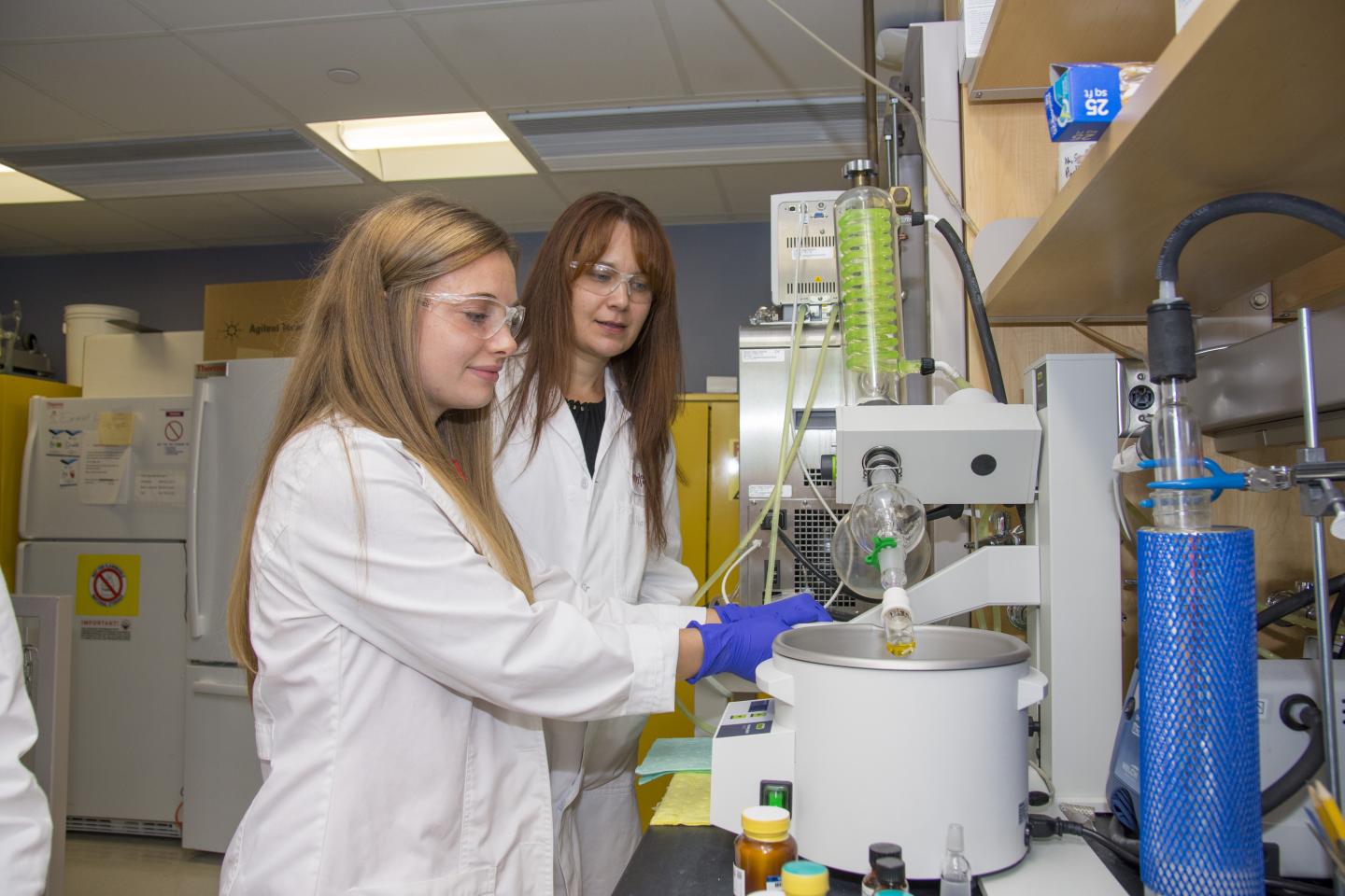 Mattson Lab at WPI