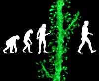 Science Image