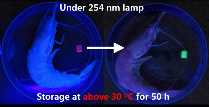 Artificial chameleon skin changing colors