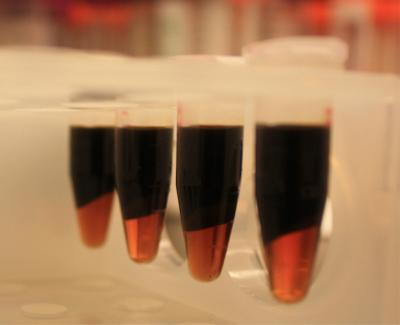 Biphasic IL Pretreatment of Biomass