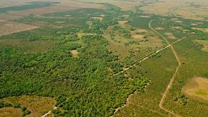 The Florida Wildlife Corridor