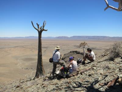 Field Work
