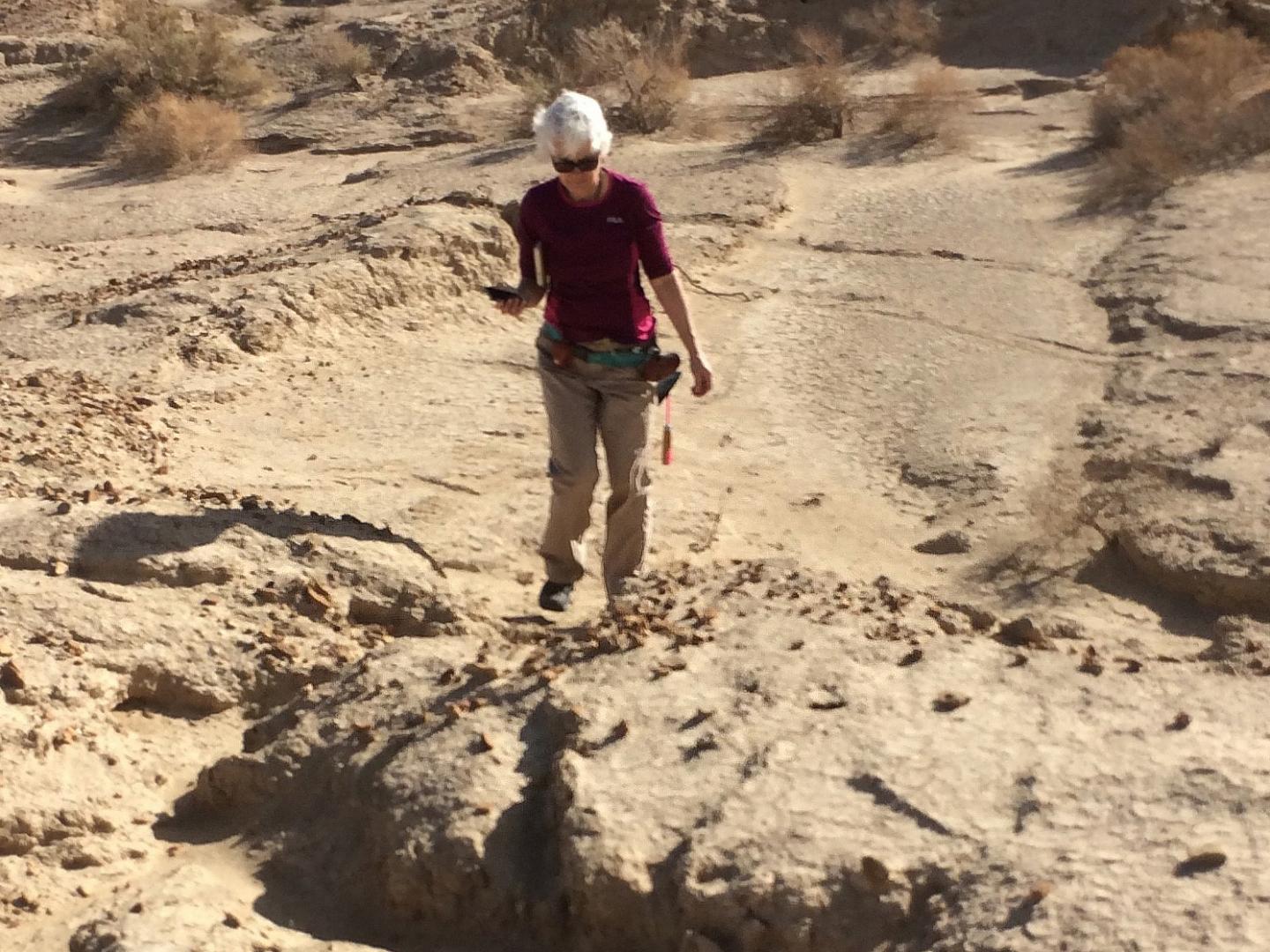 Utah State University Geologist Susanne Jänecke