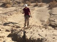 Utah State University Geologist Susanne Jänecke
