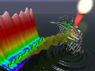 Quantum Beating in Photosynthesis