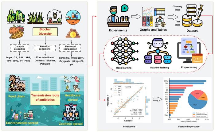 Deep learning-aided prediction and mechanistic analysis of reaction kinetics in biochar-catalyzed antibiotic degradation