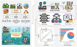 Deep learning-aided prediction and mechanistic analysis of reaction kinetics in biochar-catalyzed antibiotic degradation
