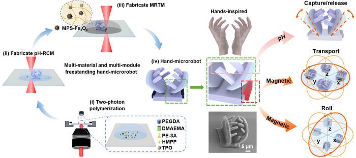 Schematic for the femtosecond laser direct writing of multi-material and multi-module freestanding 3D hand-microrobot