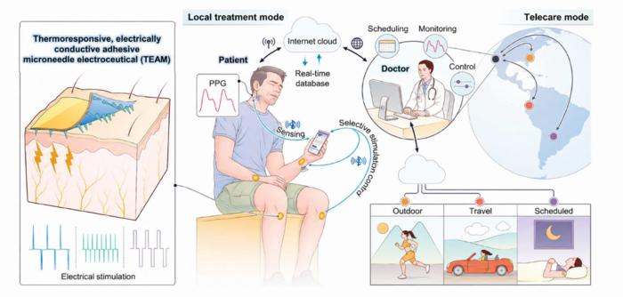 KAIST and KIOM Develop a Wearable Microneedle Electroceutical for Personalized Pain Management