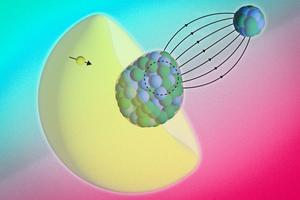 Nuclear magnetization