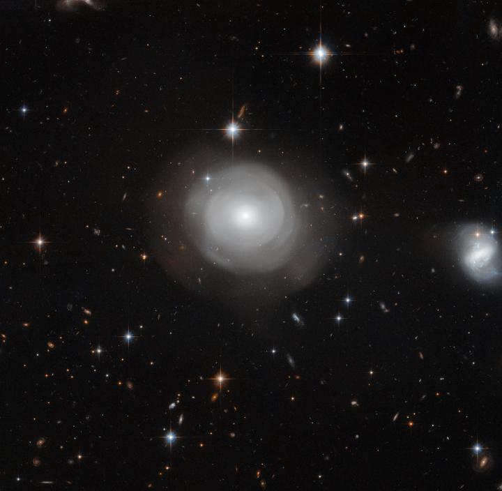 Hubble Image of ESO 381-12