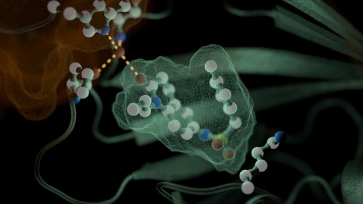 A New Drought-Protective Small Molecule 'Drug' for Crops (7 of 7)