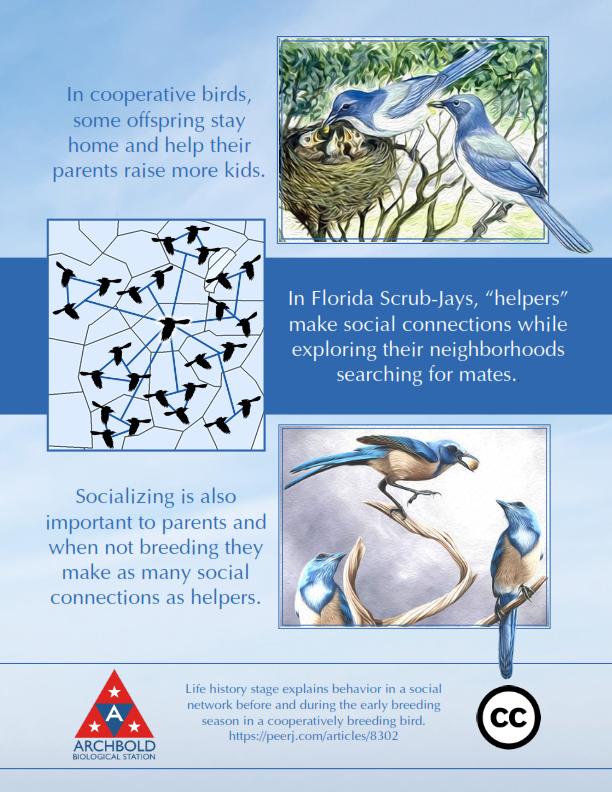 Graphical Abstract