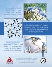 Graphical Abstract