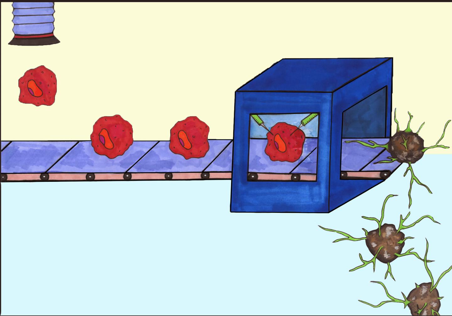 Boosting the Effectiveness of Approved Neuroblastoma Drugs (1 of 1)
