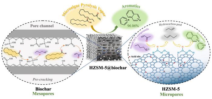 In-depth into the mechanism of aromatic production from catalytic pyrolysis of wet-torrefied microalgae with HZSM-5 coated biochar