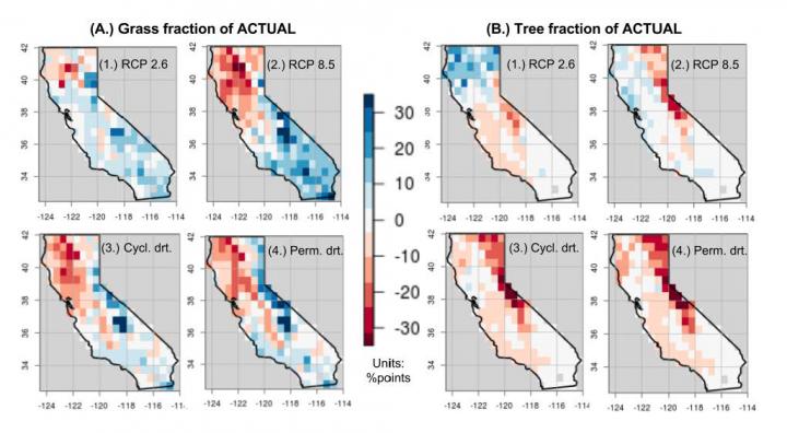 Grassland Response to 21st Century Climate Change