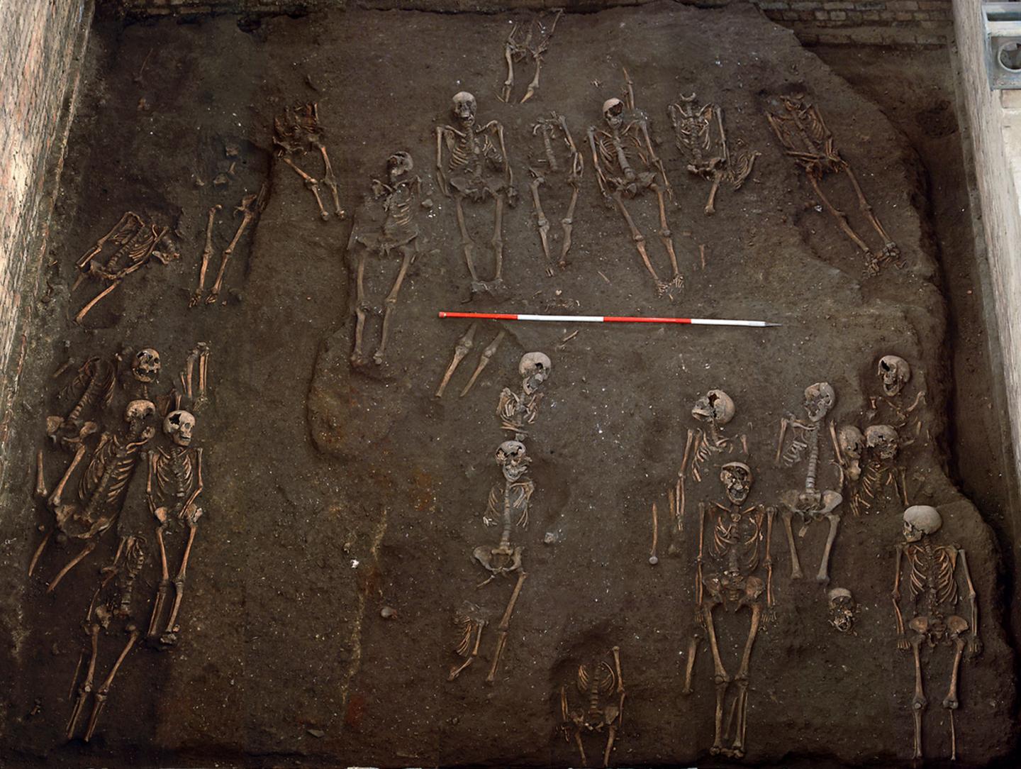 Excavating the hospital