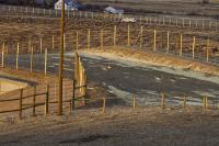 Pronghorn Use New Overpass