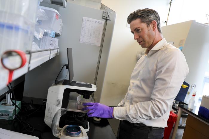 Antioxidants and T cell suppression