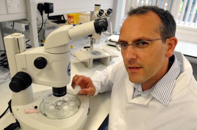 Dr. Stefan Przyborski, Durham University