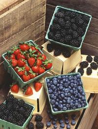 Berries