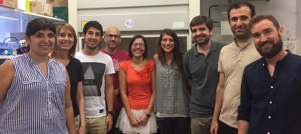 Team UB-IBUB-CIBERDEM