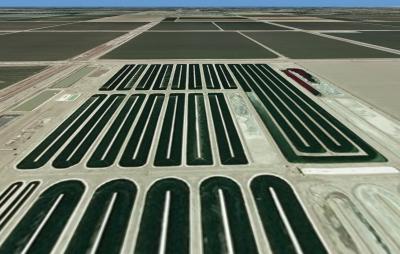 Algae Growth Ponds