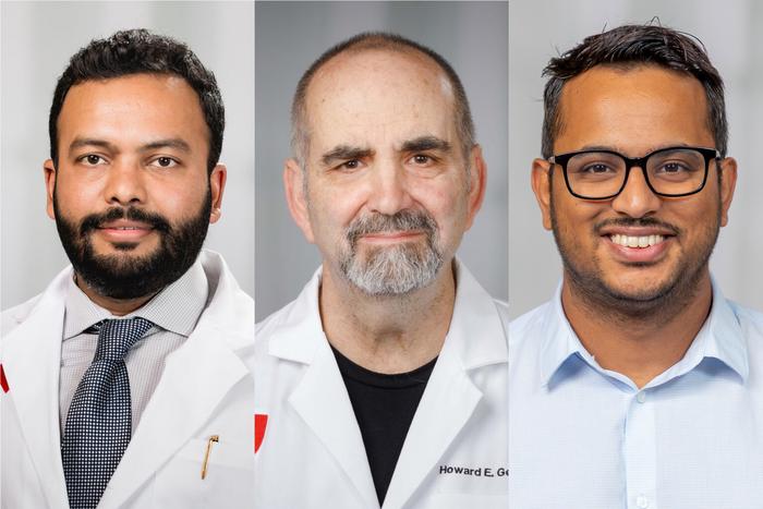 Dr. Yeapuri, Dr. Gendelman, Dr. Bhattarai