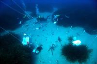 The Seafloor as a Natural Laboratory
