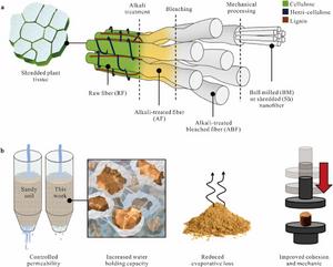 Food-Waste Nanocellulose Turns Desert Sand Into Fertile Sponge