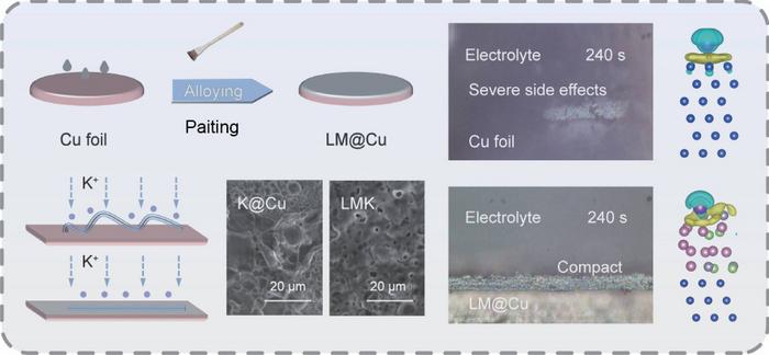 Liquid metal induced self-diffusion growth model for long-cycling potassium metal batteries