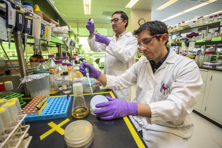 Two Study Authors in the Lab