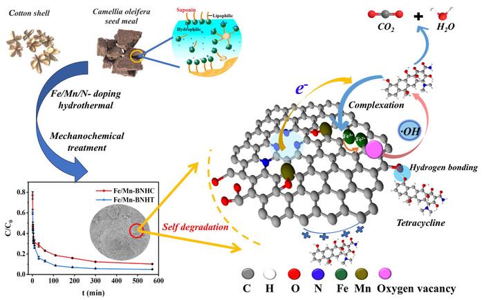 Insights into the mechanism of mechanically treated Fe/Mn-N doped seed meal hydrochar for efficient adsorption and degradation of tetracycline